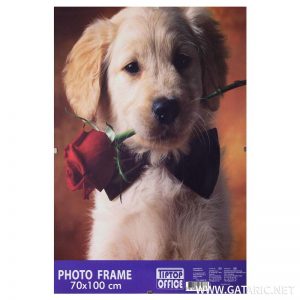 Рамка за слика / диплома