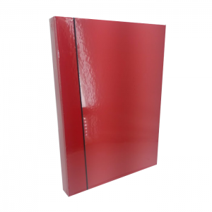 Папка со ластик