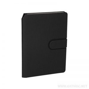 Роковник Толедо